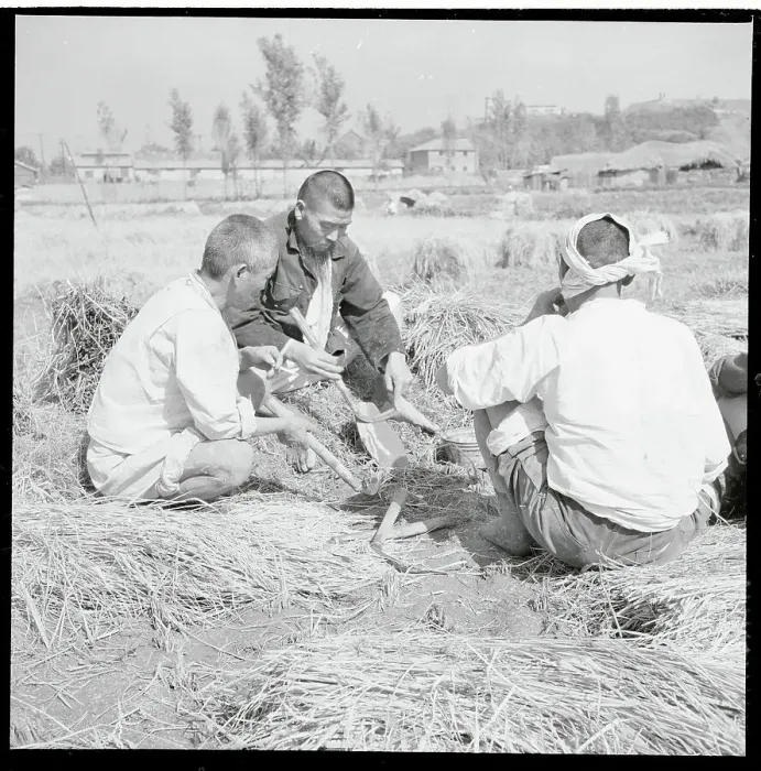 Framed Print : Farmers Sharpening Their Sickles Framed Print : Farmers Sharpening Their Sickles