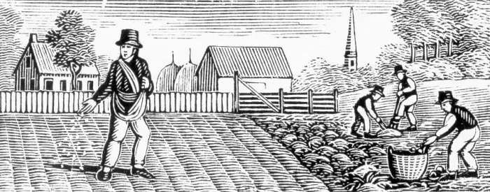 Framed Print : Farmers Sowing Crops Framed Print : Farmers Sowing Crops