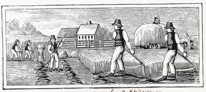 Framed Print : Farmers Work With Sickles, Hoes; Woodcut Framed Print : Farmers Work With Sickles, Hoes; Woodcut