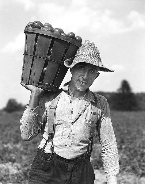 Farmhand Wearing A Placard Front Shirt Pin Stripe
