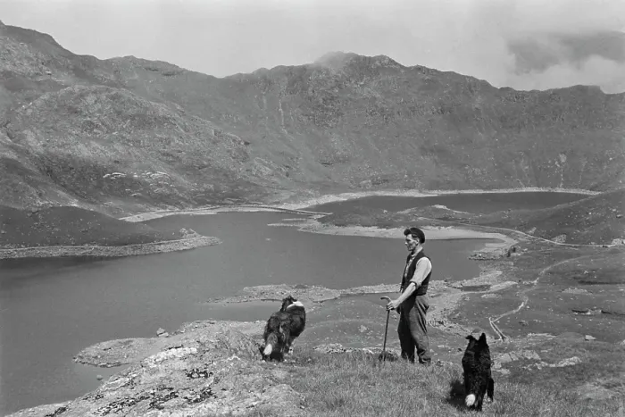 Framed Print : Farming Life In Snowdonia Framed Print : Farming Life In Snowdonia