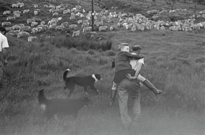 Framed Print : Farming Life In Snowdonia Framed Print : Farming Life In Snowdonia