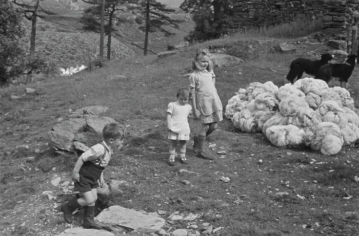 Framed Print : Farming Life In Snowdonia Framed Print : Farming Life In Snowdonia