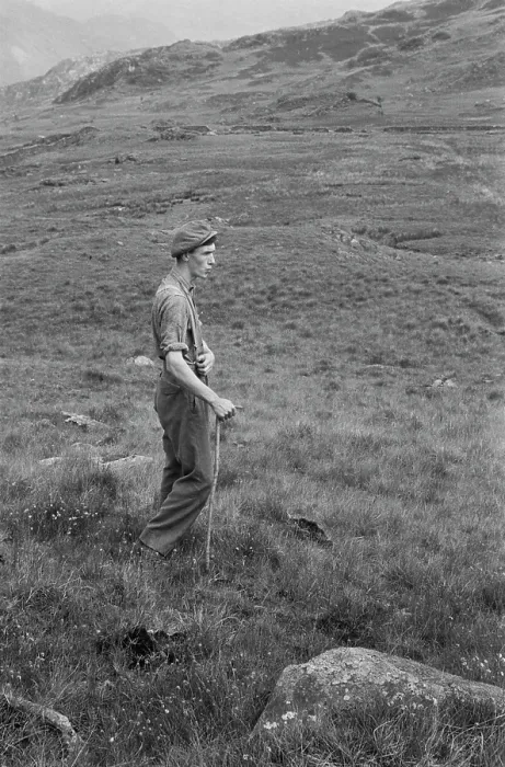 Framed Print : Farming Life In Snowdonia Framed Print : Farming Life In Snowdonia