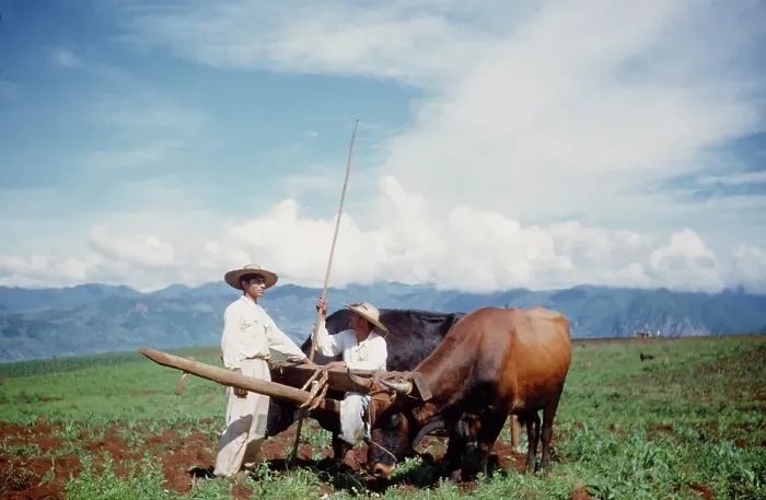 Framed Print : Farming in Mexico Framed Print : Farming in Mexico