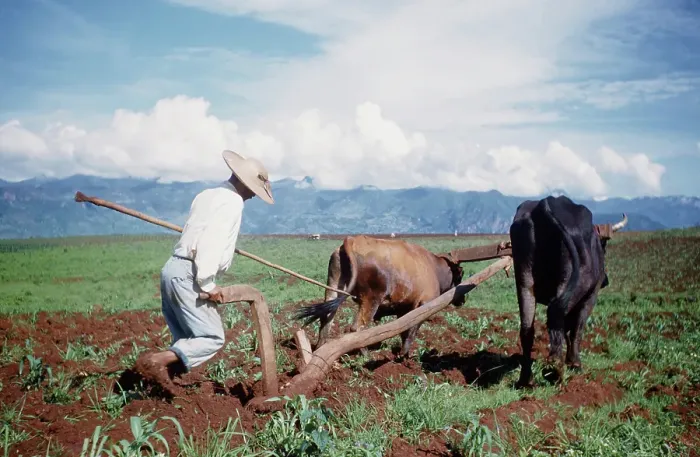Framed Print : Farming in Mexico Framed Print : Farming in Mexico