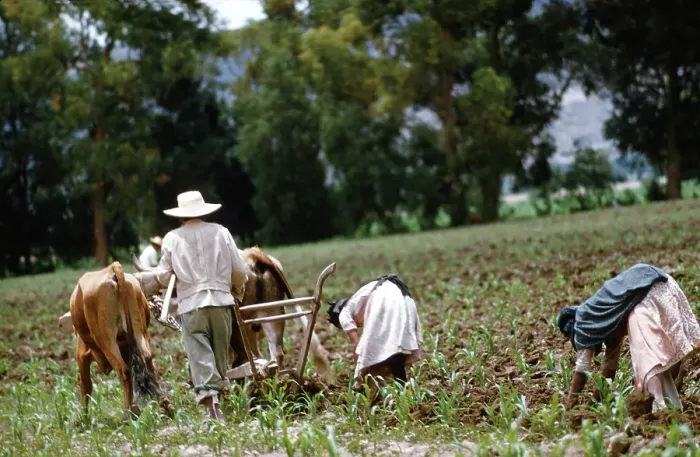 Framed Print : Farming in Mexico Framed Print : Farming in Mexico