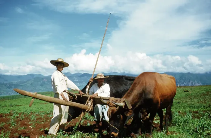 Framed Print : Farming in Mexico Framed Print : Farming in Mexico
