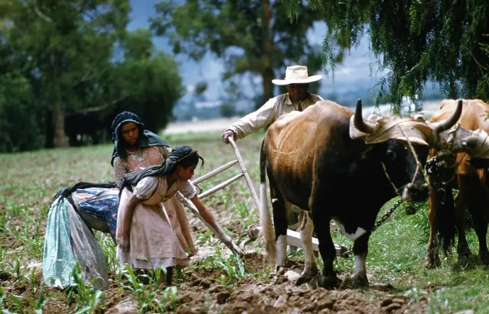 Framed Print : Farming in Mexico Framed Print : Farming in Mexico