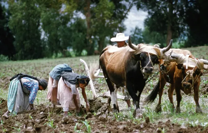Framed Print : Farming in Mexico Framed Print : Farming in Mexico
