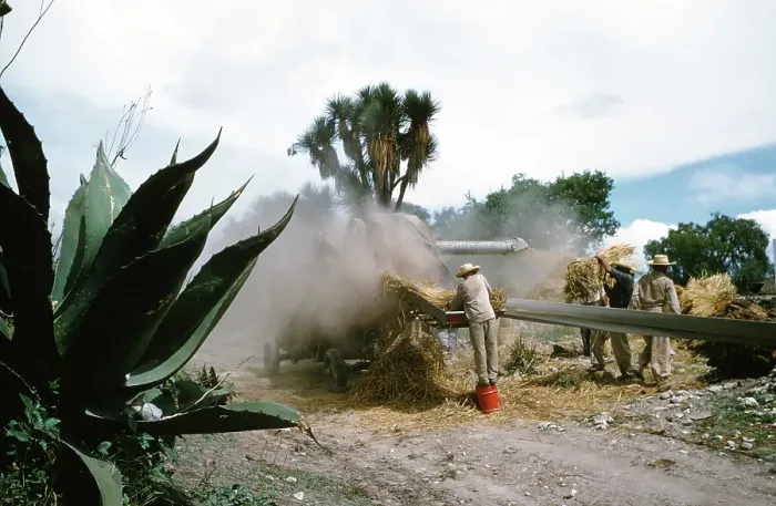Framed Print : Farming in Mexico Framed Print : Farming in Mexico