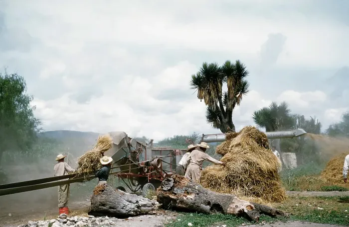 Framed Print : Farming in Mexico Framed Print : Farming in Mexico