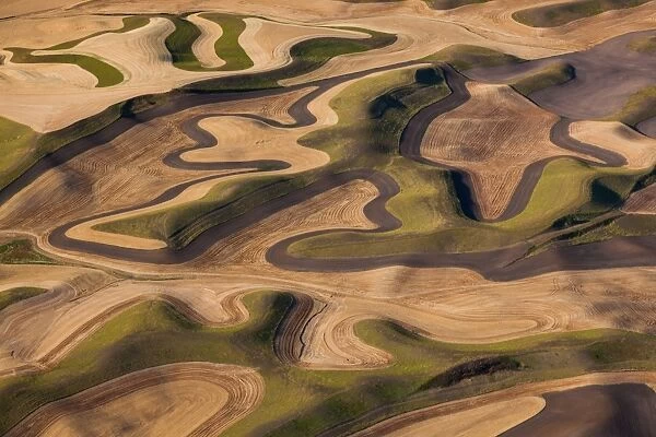 Farmland landscape, with ploughed fields and furrows in Palouse, Washington, USA. An aerial view with natural patterns