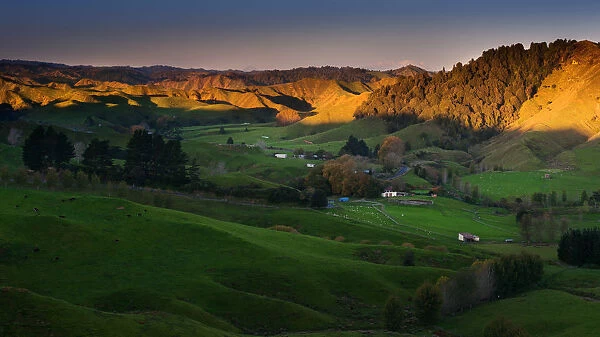 Farmland in New Zealand