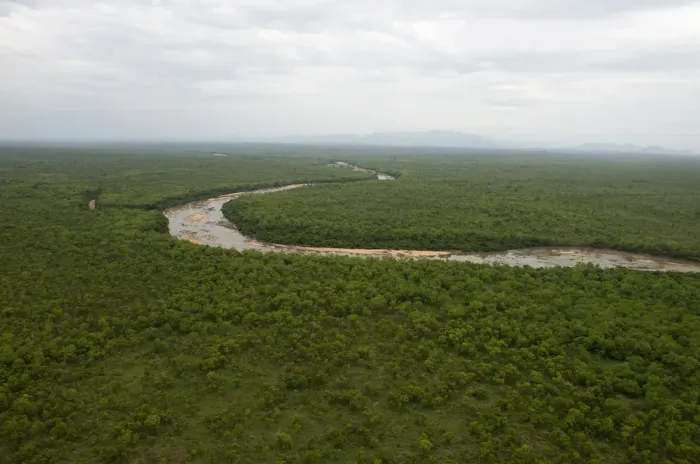 Framed Print : Faro river, located in the Faro-Lobeke hunting zone, looking eastwards, near to Faro National Park, Northern Cameroon Framed Print : Faro river, located in the Faro-Lobeke hunting zone, looking eastwards, near to Faro National Park, Northern Cameroon
