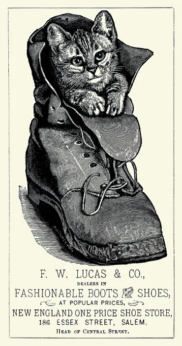 Framed Print : Fashionable Puss in Boot Framed Print : Fashionable Puss in Boot