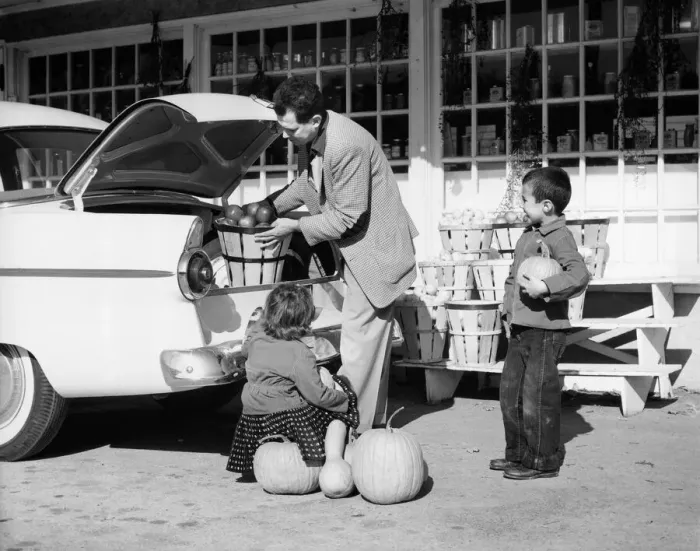 Framed Print : Father loading apples into trunk of car at country market, son and daughter looking Framed Print : Father loading apples into trunk of car at country market, son and daughter looking