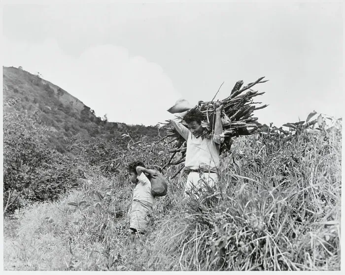 Framed Print : Father and Son Carrying Wood Framed Print : Father and Son Carrying Wood
