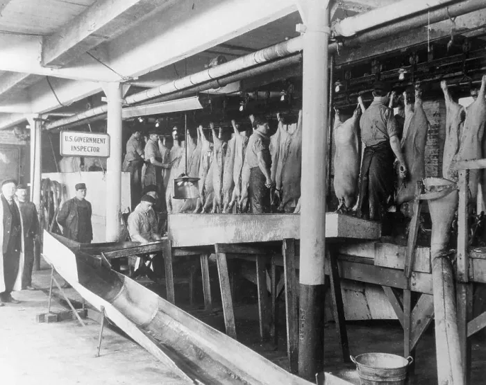 Framed Print : FDA Inspecting Meat at Packing Plant Framed Print : FDA Inspecting Meat at Packing Plant