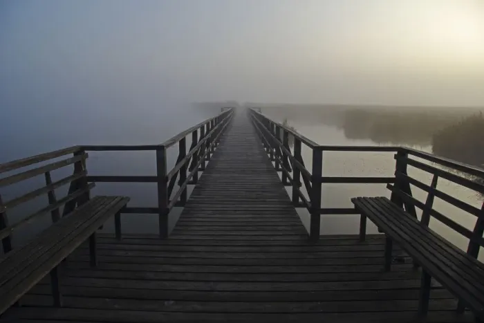 Framed Print : Federsee lake, Federsee lake pier, fog, morning mood, Upper Swabia, Baden-Wuerttemberg, Germany, Europe Framed Print : Federsee lake, Federsee lake pier, fog, morning mood, Upper Swabia, Baden-Wuerttemberg, Germany, Europe