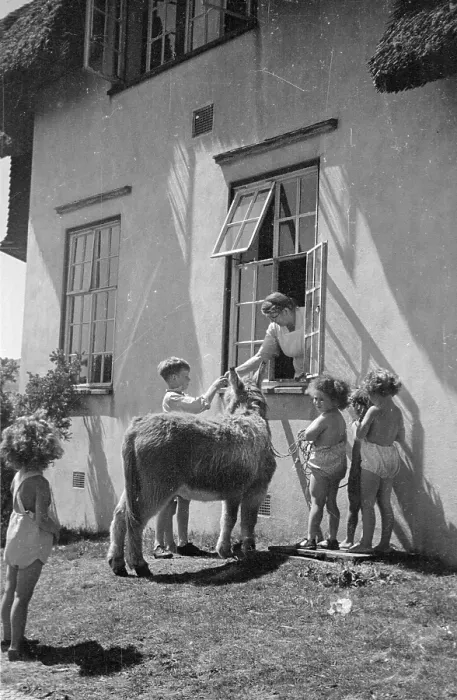 Framed Print : Feeding The Donkey Framed Print : Feeding The Donkey