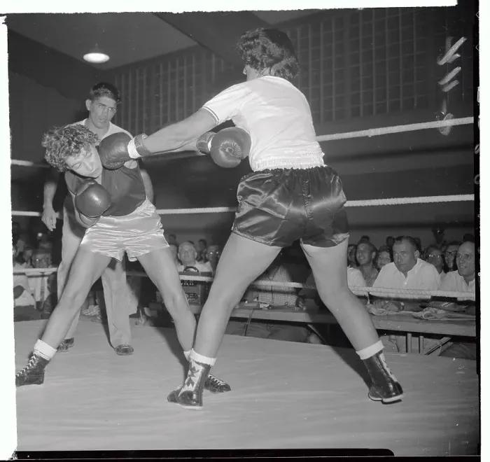 Framed Print : Female Boxers Framed Print : Female Boxers