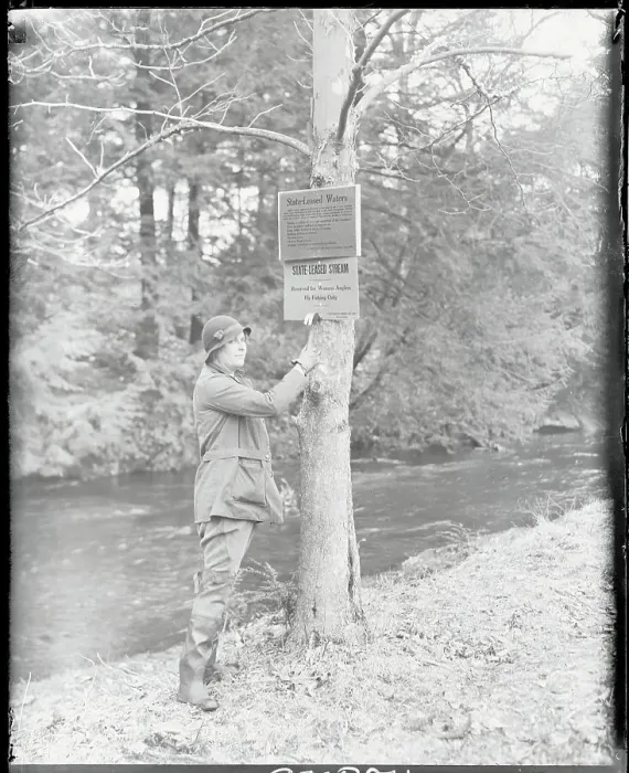 Framed Print : Female Game Warden Posting Sign Framed Print : Female Game Warden Posting Sign