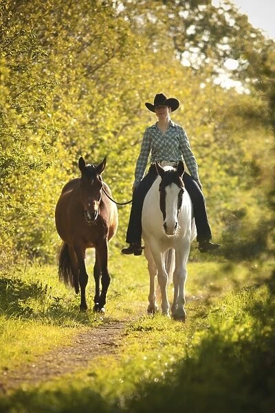 Female western rider on a Paint Horse, Black Tobiano colour pattern, leading a bay Shagya Arabian horse, riding bareback through the forest, Munsterland, North Rhine-Westphalia, Germany