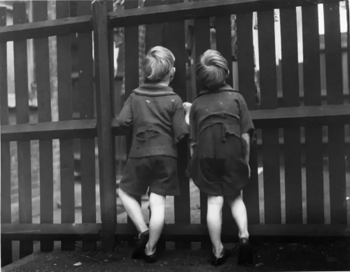 Framed Print : Through The Fence Framed Print : Through The Fence