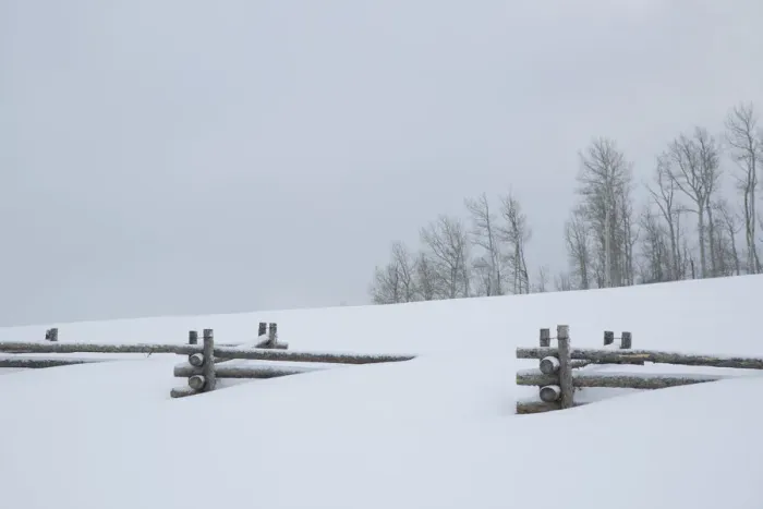 Framed Print : Fence buried in deep snow, Uncompahgre National Forest, Colorado, USA Framed Print : Fence buried in deep snow, Uncompahgre National Forest, Colorado, USA