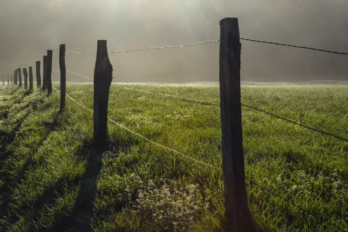 Framed Print : Fence in Cades Cove at sunrise, Great Smoky Mountains National Park, Tennessee, USA Framed Print : Fence in Cades Cove at sunrise, Great Smoky Mountains National Park, Tennessee, USA