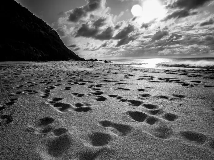 Framed Print : Fernando de Noronha Framed Print : Fernando de Noronha