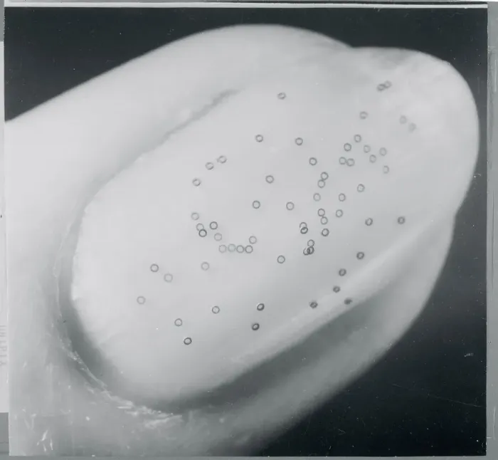 Framed Print : Ferrite Cores on Fingernail Framed Print : Ferrite Cores on Fingernail
