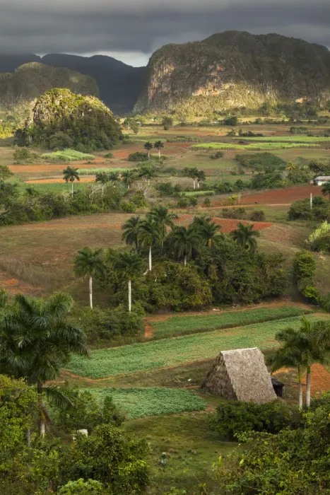 Framed Print : Fields and farms in valley, Vinales, Cuba Framed Print : Fields and farms in valley, Vinales, Cuba