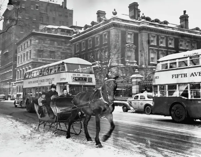 Framed Print : Fifth Avenue & 90th Street Sleigh Ride Framed Print : Fifth Avenue & 90th Street Sleigh Ride