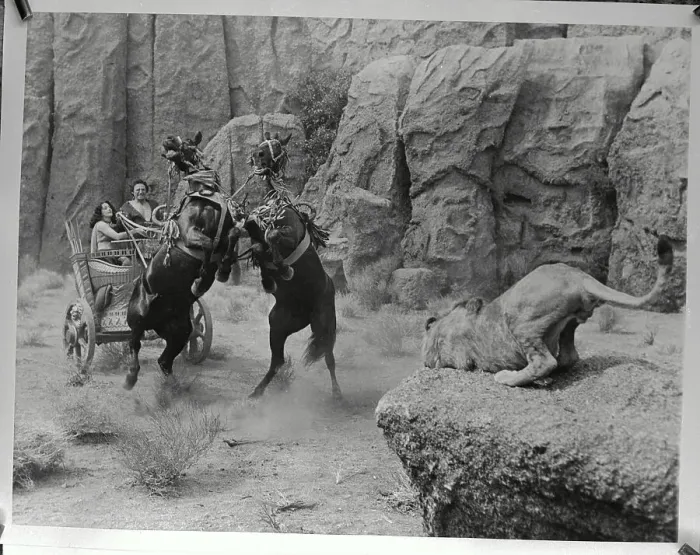 Framed Print : Fighting Lions in Scene from Samson and Delilah Framed Print : Fighting Lions in Scene from Samson and Delilah