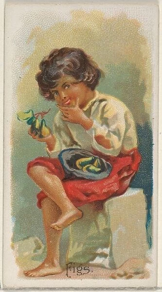 Figs Trade Card 1891