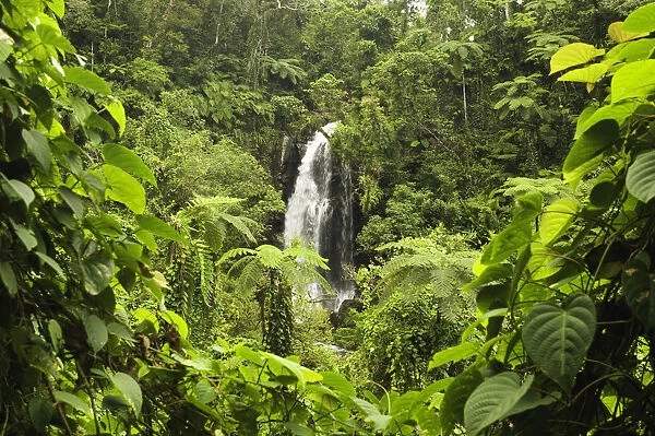 Fiji, Taveuni Island, Bouma Falls