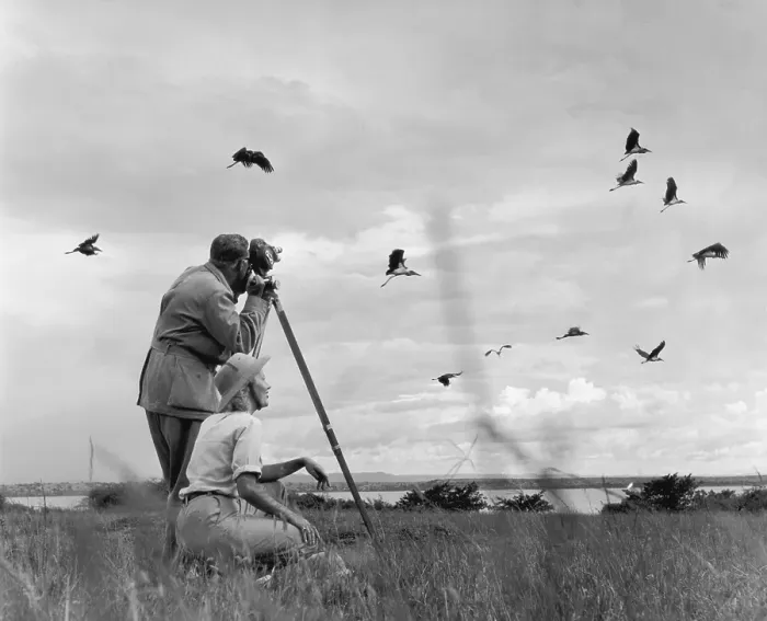 Framed Print : Filming Birds Framed Print : Filming Birds
