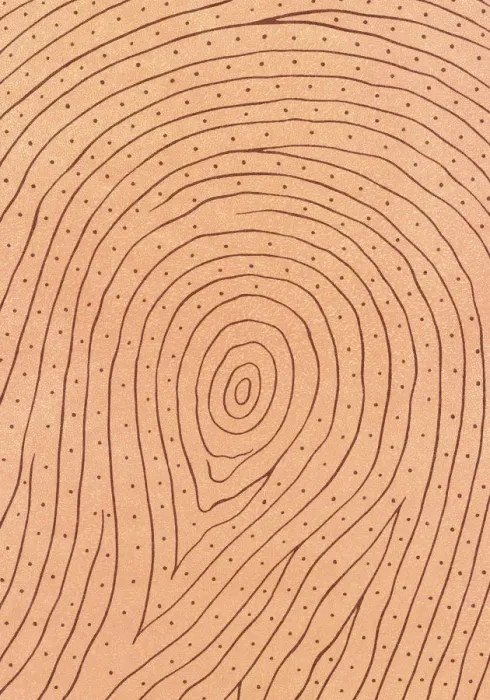 Framed Print : Fingerprint Ridges Framed Print : Fingerprint Ridges