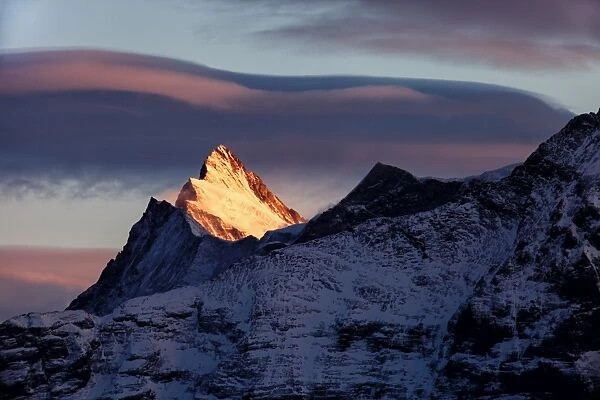 Finsteraarhorn in Swiss Bernese Alps at sunset