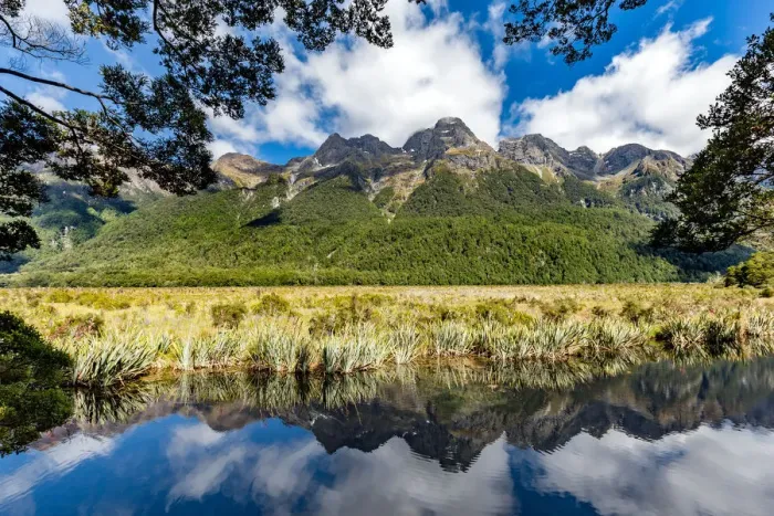 Framed Print : Fiordland National Park - The Mirror Lake Framed Print : Fiordland National Park - The Mirror Lake