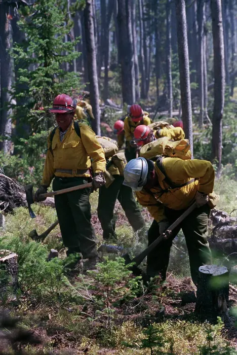 Framed Print : Firefighters Cutting Fire Line Framed Print : Firefighters Cutting Fire Line