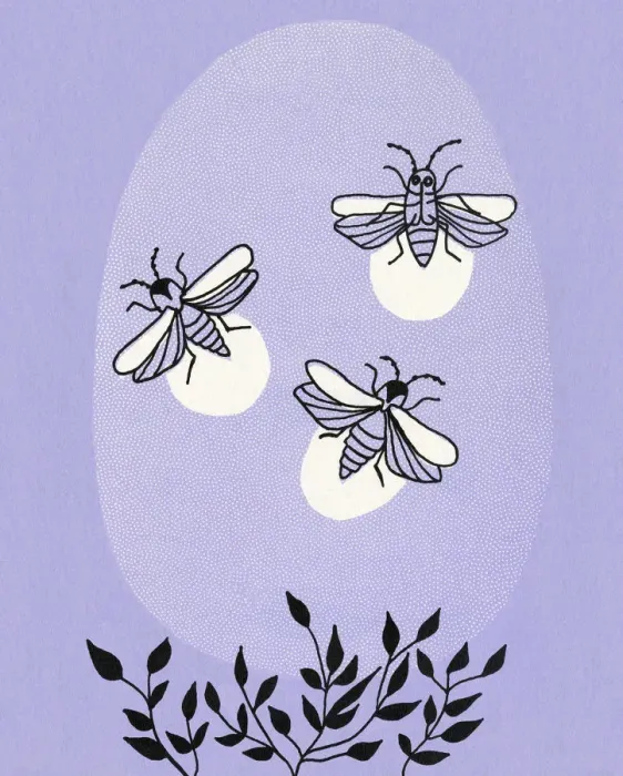 Framed Print : Fireflies. http: / / csaimages.com / images / istockprofile / csa_vector_dsp.jpg Framed Print : Fireflies. http: / / csaimages.com / images / istockprofile / csa_vector_dsp.jpg