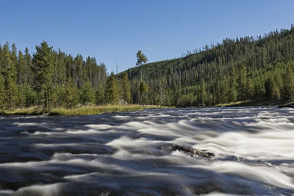 Firehole River and Yellowstone National Park on sunny day, Wyoming, USA