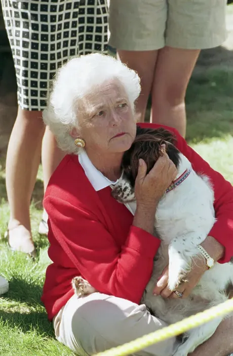 Framed Print : First Lady Barbara Bush Cuddling Her Dog Millie Framed Print : First Lady Barbara Bush Cuddling Her Dog Millie