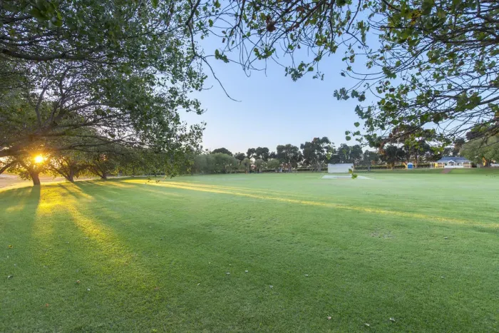 Framed Print : First light on cricket pitch. Constantia Uitsig. Constantia, Cape Town. RSA Framed Print : First light on cricket pitch. Constantia Uitsig. Constantia, Cape Town. RSA