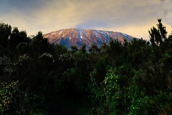 First Light on Mt. Kilimanjaro