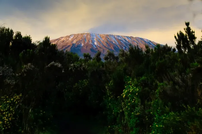 Framed Print : First Light on Mt. Kilimanjaro Framed Print : First Light on Mt. Kilimanjaro
