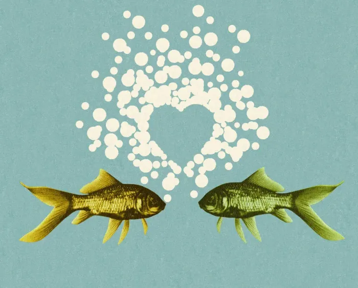 Framed Print : Two Fish and Bubble Heart Framed Print : Two Fish and Bubble Heart